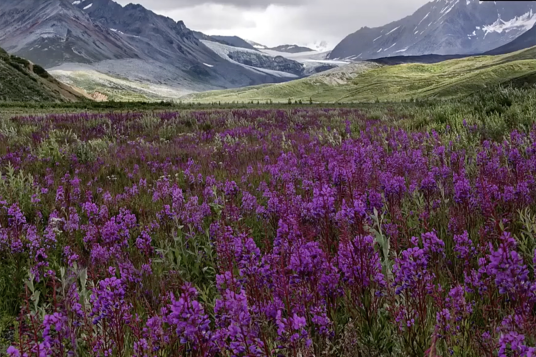 THE BEAUTY OF LANDSCAPE PHOTOGRAPHY Horn Photo, Fresno CA